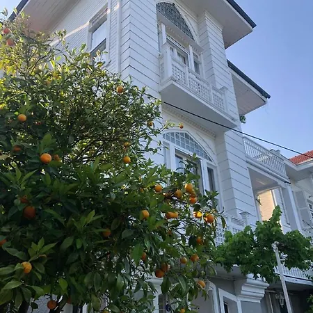 Ikigai Rıfat Otel Adalar