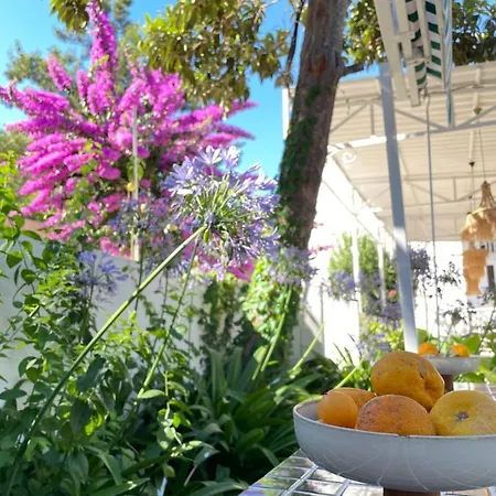 Hotel Ikigai Rıfat Adalar