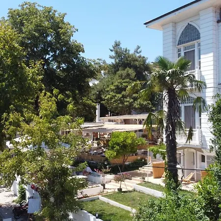 Ikigai Rıfat Adalar