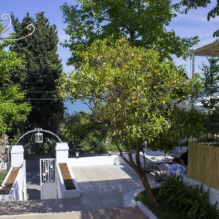 Otel Ikigai Rıfat Adalar